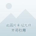 风水魔斗士